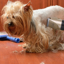 Load image into Gallery viewer, Noise-Free Design Pet Hair Clipper - Rechargeable Dog Trimmer Animal Grooming Cat Cutter Machine Shaver Electric Scissor Remover Haircut